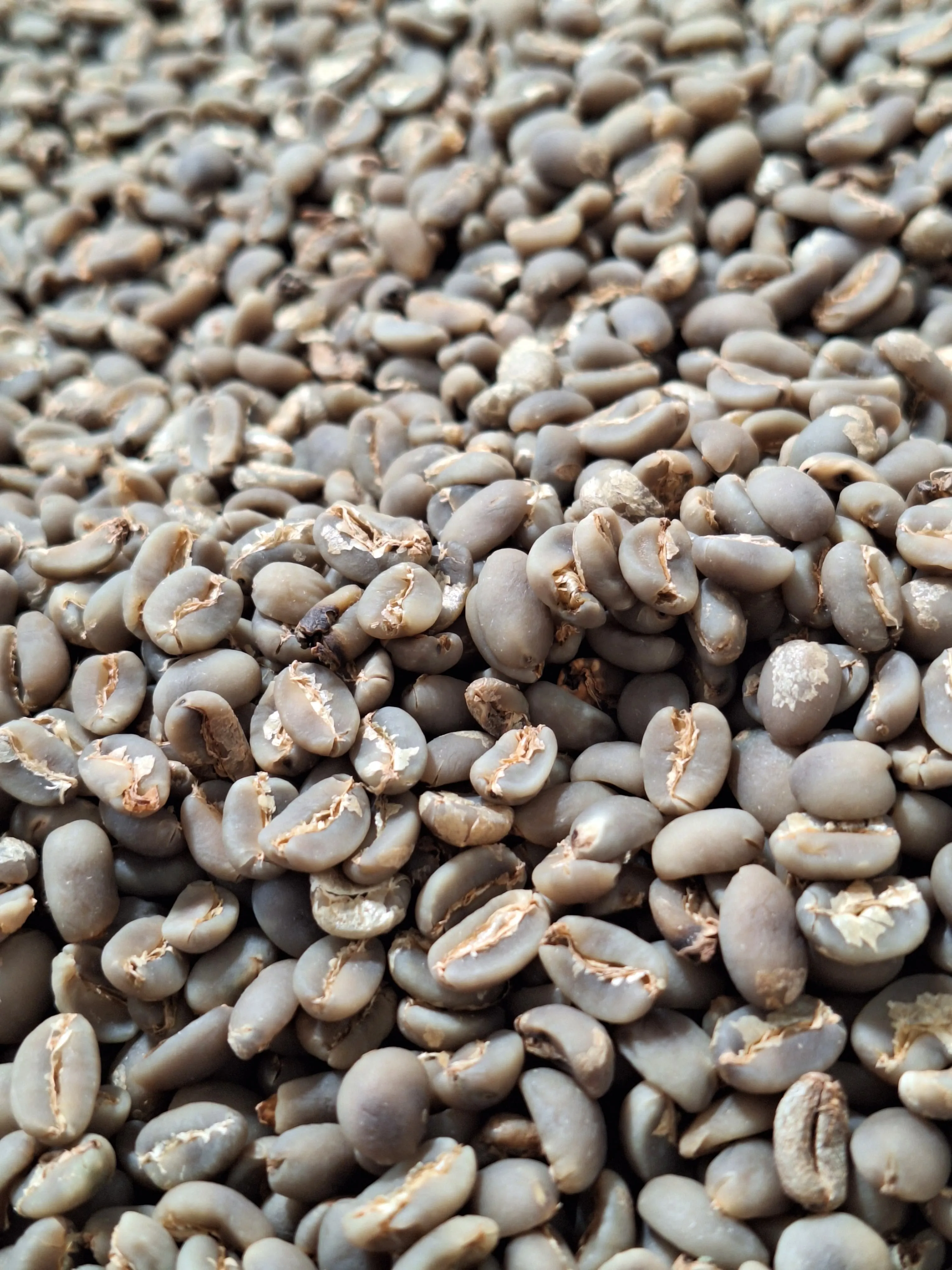 Kopi Macca Id greenbean