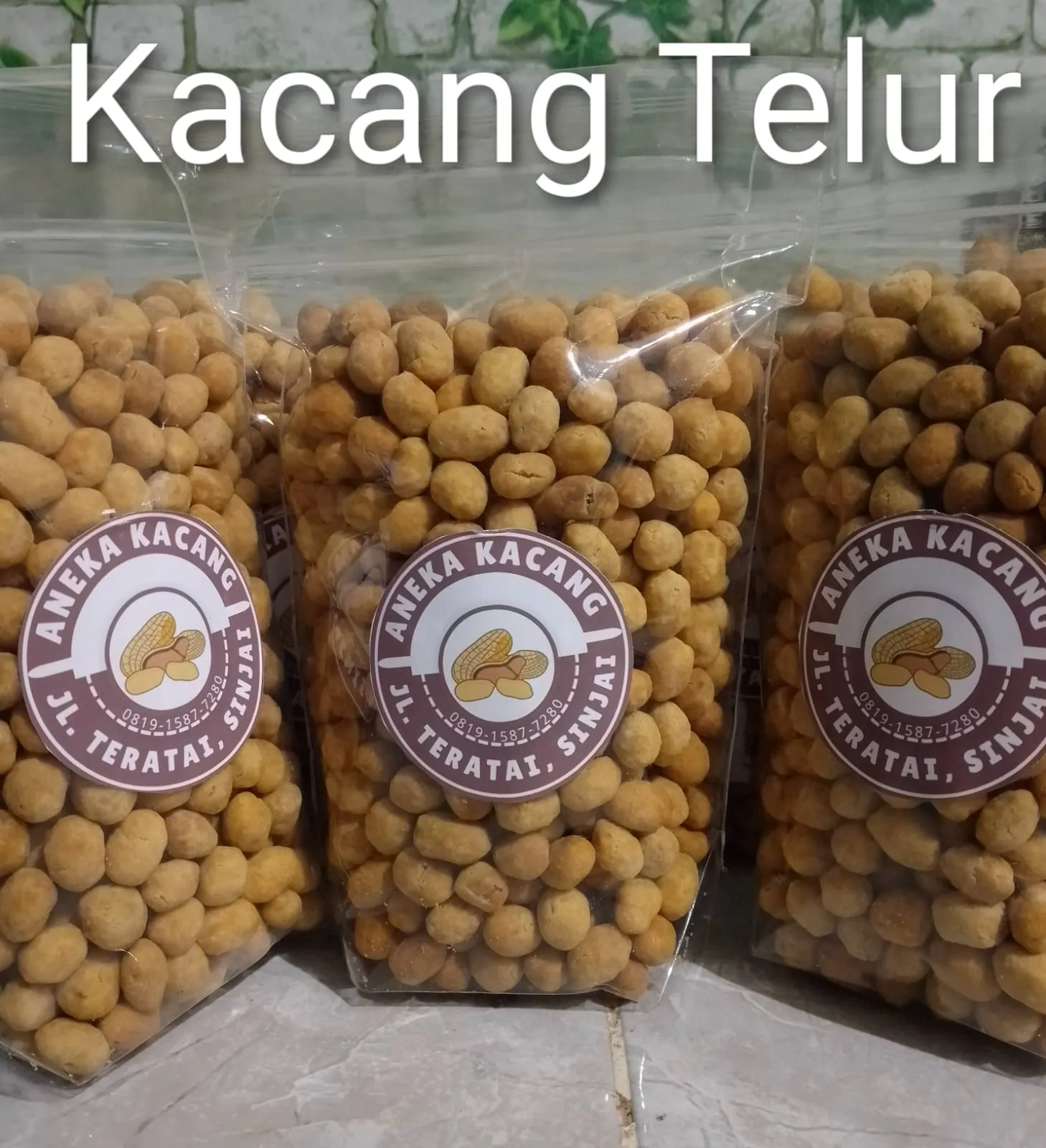 Kacang Telur